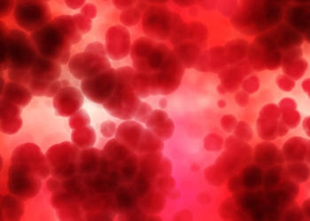 Najwyższy wodospad świata ma prawie 11 km szerokości – poznaj wodospad Khone