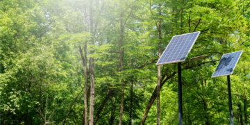 Agentowa AI przejmuje kontrolę